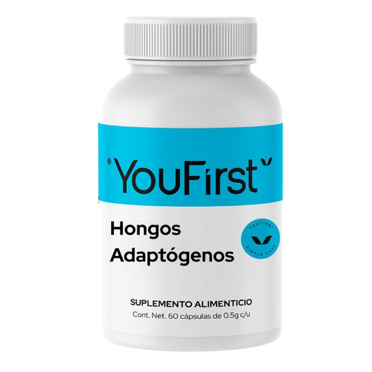 Hongos Adaptógenos